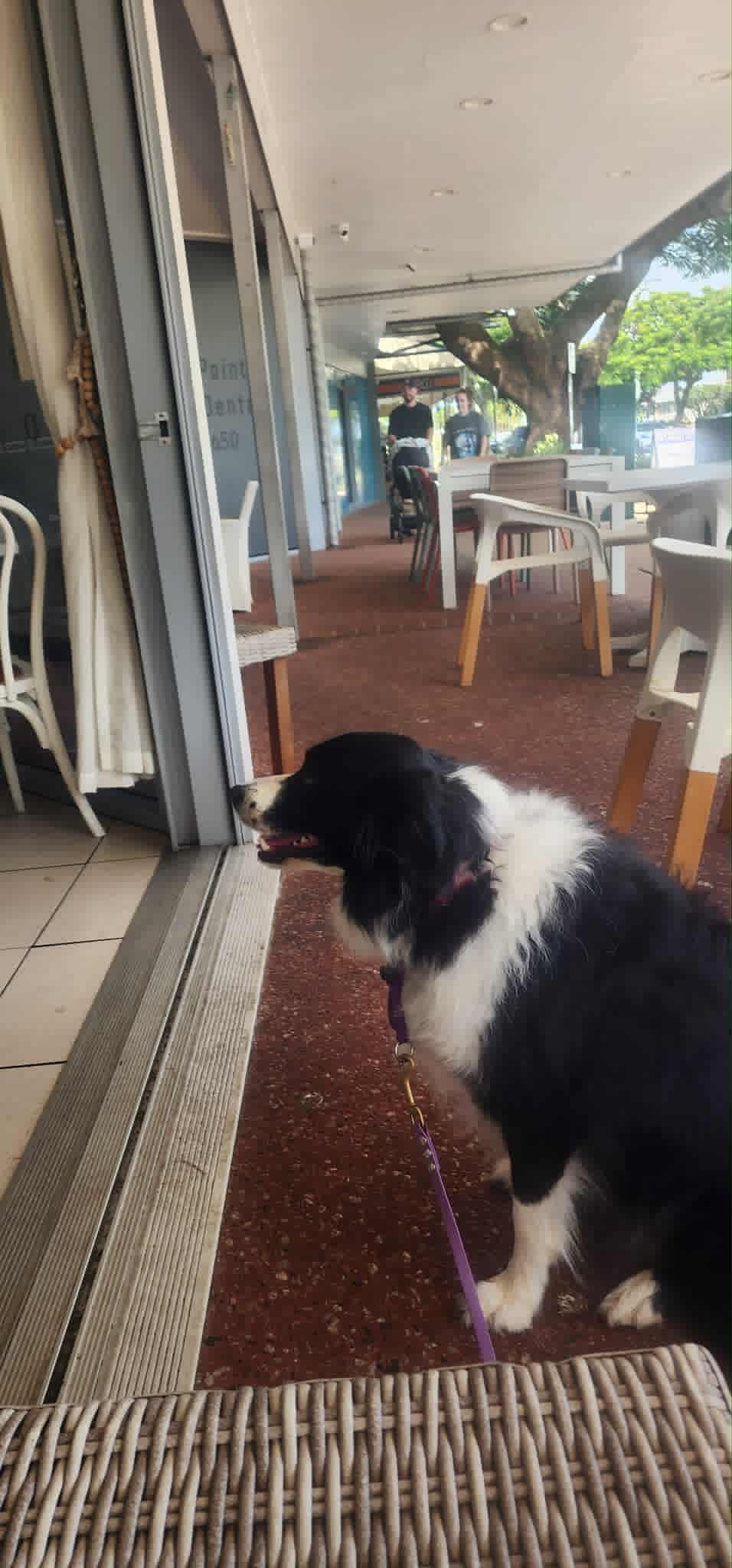Warra Warra Cafe, photo 1