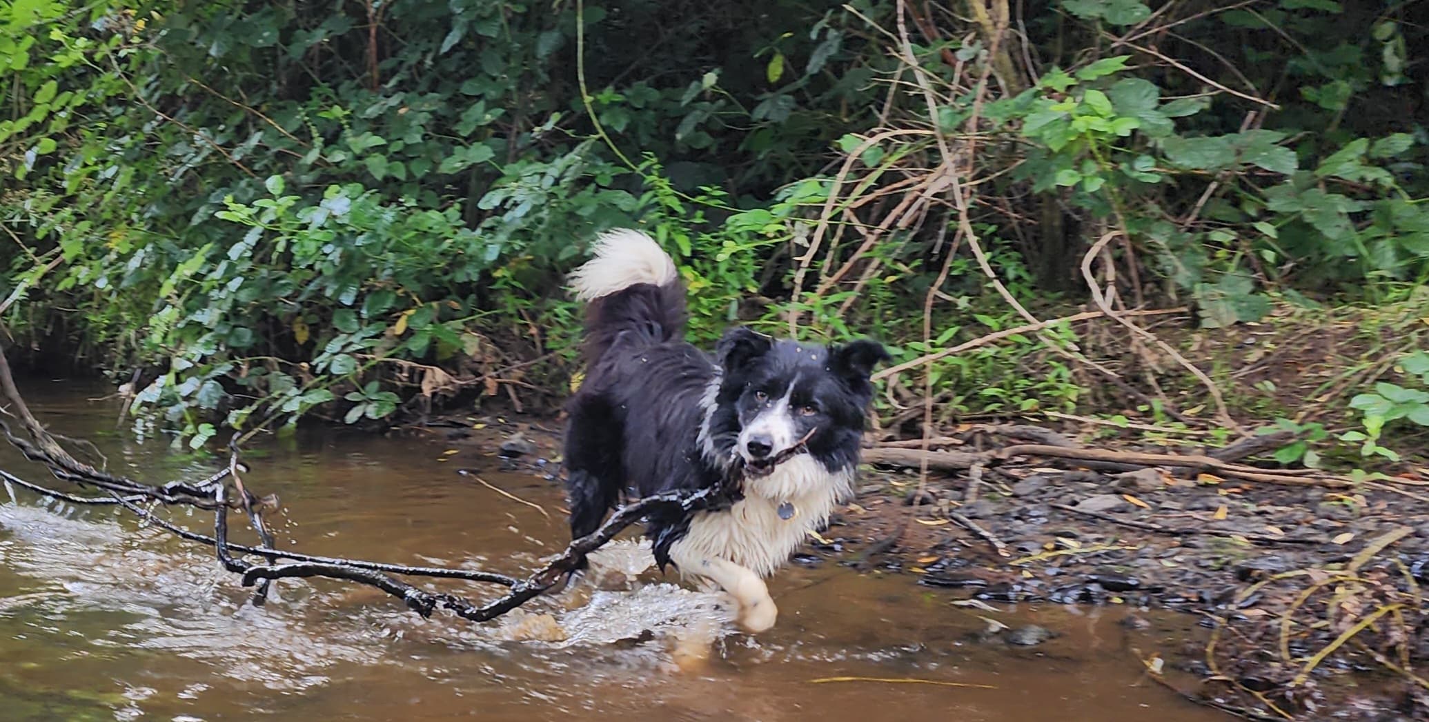 Cedar Creek Swimming Holes